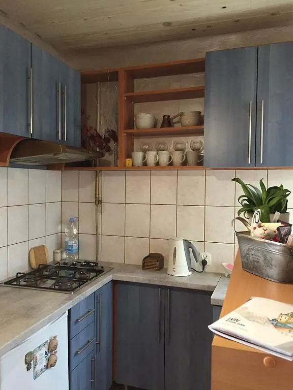 Heart Of Lviv Apartment Ukraine