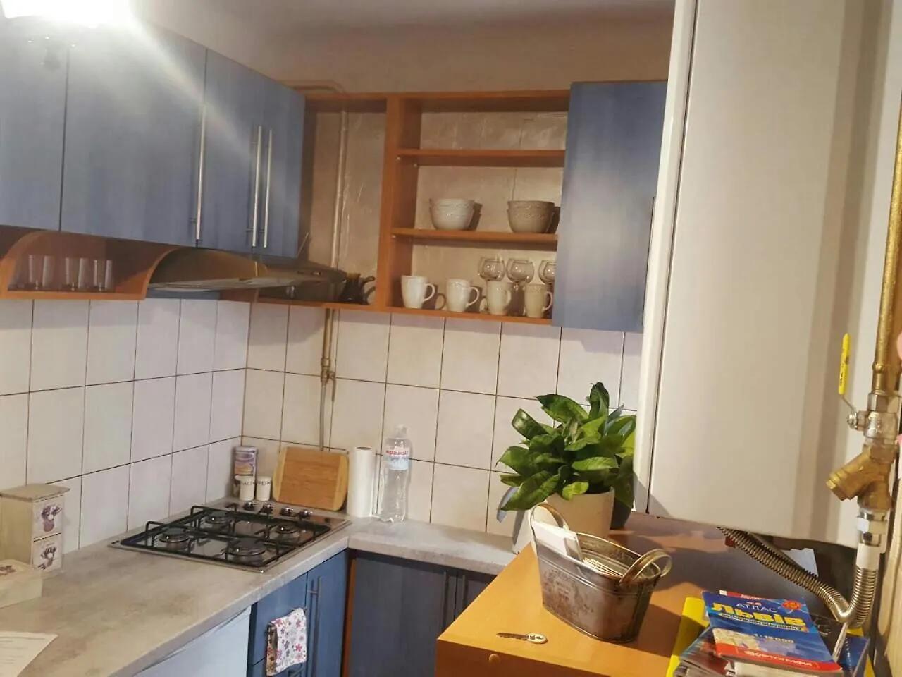 Heart Of Lviv Apartment